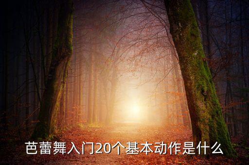 一到八集的舞蹈小跳,科目一到科目八舞蹈