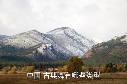 属于古典舞蹈的舞蹈场,8级古典舞蹈考级全部舞蹈