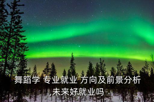 舞蹈专业发展方向,艺校舞蹈生的发展方向