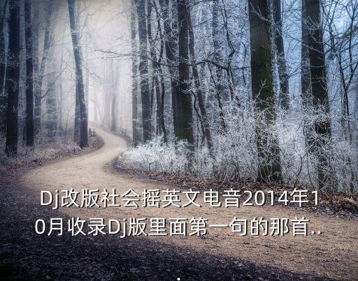 Dj改版社会摇英文电音2014年10月收录Dj版里面第一句的那首...