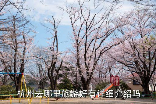  杭州去哪里旅游好有详细介绍吗