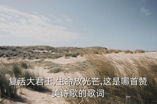 复活大君王,生命放光芒,这是哪首赞美诗歌的歌词
