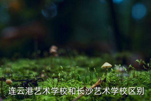  连云港艺术学校和长沙艺术学校区别