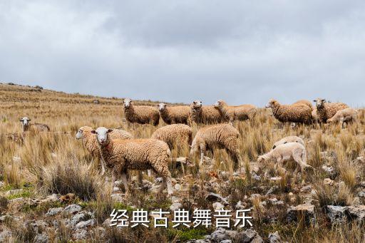 经典古典舞音乐