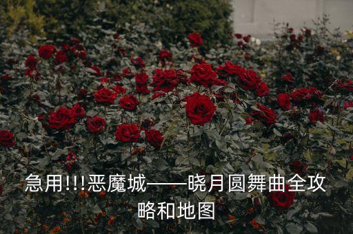 急用!!!恶魔城——晓月圆舞曲全攻略和地图