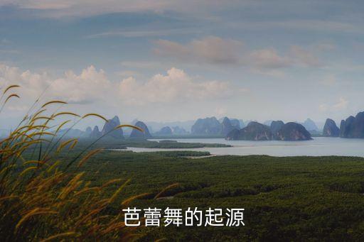 天鹅之死芭蕾舞蹈教学过程