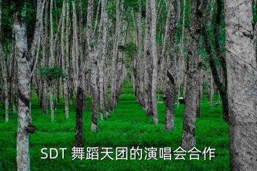 SDT 舞蹈天团的演唱会合作