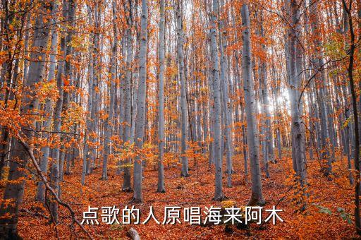  点歌的人原唱海来阿木