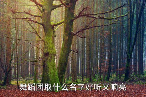 舞蹈团取什么名字好听又响亮