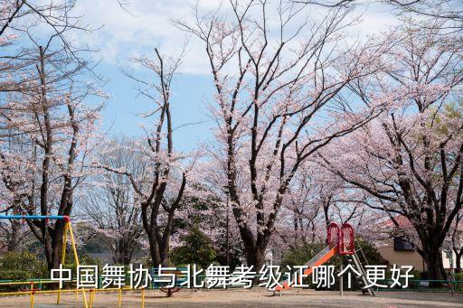 北京舞蹈学院附中教材