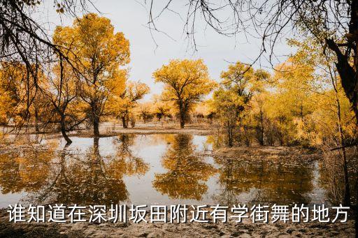 杰克逊舞蹈培训报名,简色舞蹈培训报名多少钱
