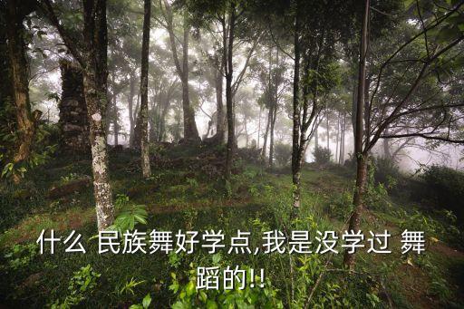什么 民族舞好学点,我是没学过 舞蹈的!!