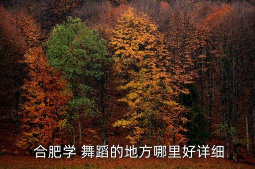  合肥学 舞蹈的地方哪里好详细