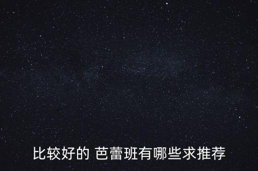 比较好的 芭蕾班有哪些求推荐
