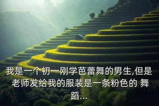 我是一个初一刚学芭蕾舞的男生,但是 老师发给我的服装是一条粉色的 舞蹈...