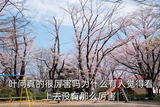  叶问真的很厉害吗为什么有人觉得看上去没有那么厉害