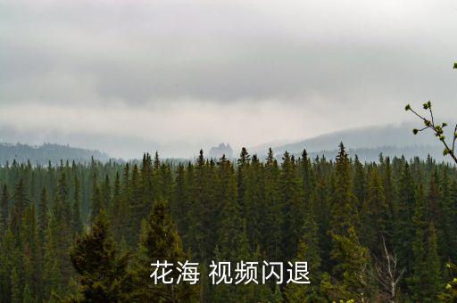  花海 视频闪退