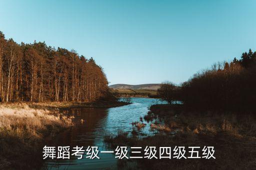 舞蹈考级一级三级四级五级