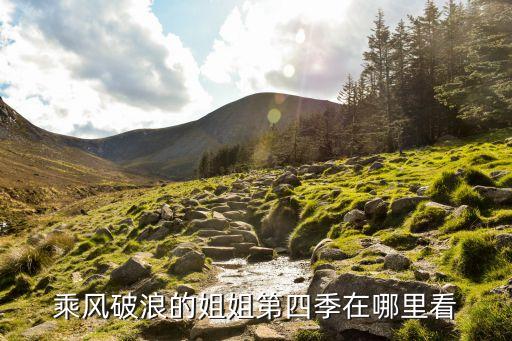 乘风破浪的姐姐第四季在哪里看