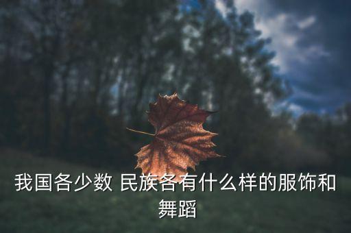 我国各少数 民族各有什么样的服饰和 舞蹈