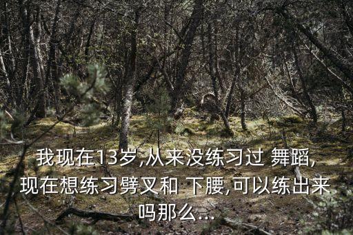 我现在13岁,从来没练习过 舞蹈,现在想练习劈叉和 下腰,可以练出来吗那么...