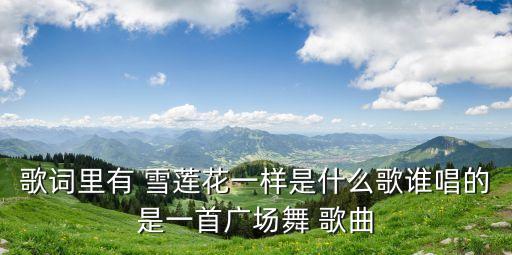 歌词里有 雪莲花一样是什么歌谁唱的是一首广场舞 歌曲