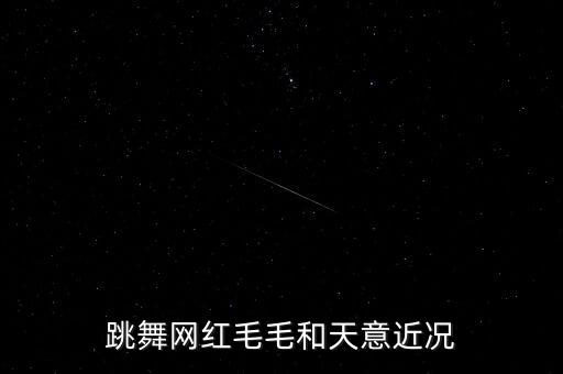 跳舞网红毛毛和天意近况