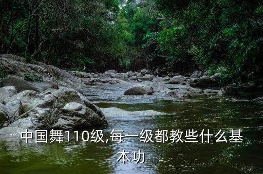 中国舞110级,每一级都教些什么基本功