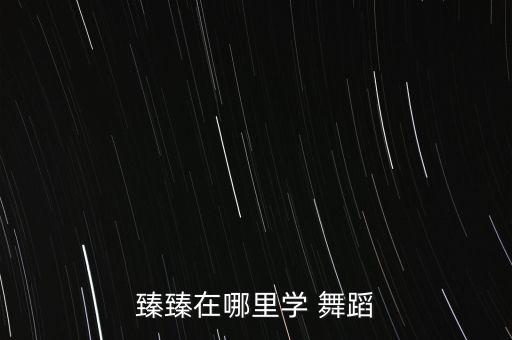 臻臻在哪里学 舞蹈