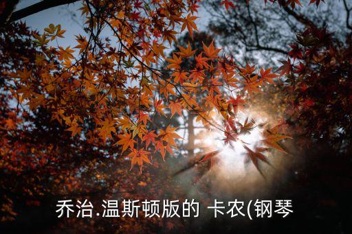 卡农考级舞蹈,卡农舞蹈视频教学视频