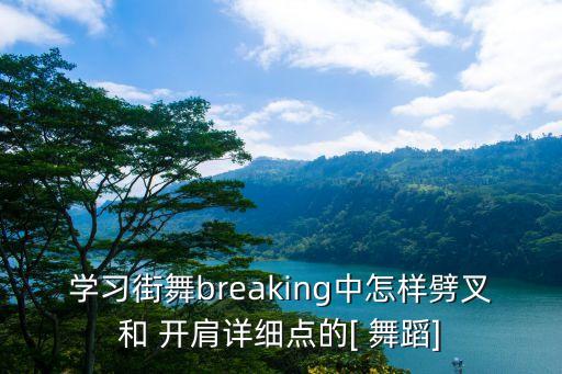 学习街舞breaking中怎样劈叉和 开肩详细点的[ 舞蹈]