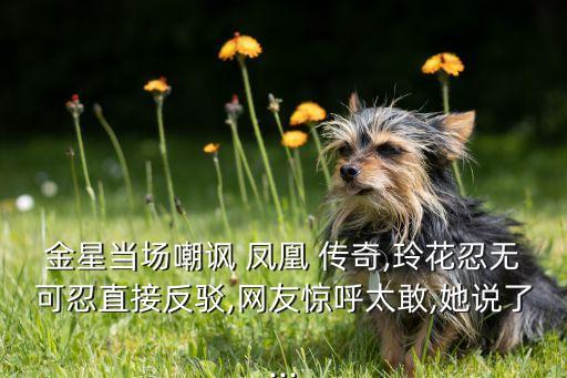 金星当场嘲讽 凤凰 传奇,玲花忍无可忍直接反驳,网友惊呼太敢,她说了...