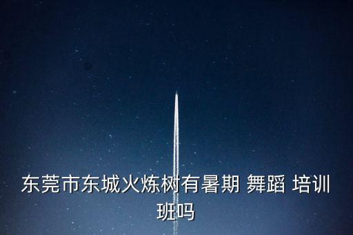 东莞市东城火炼树有暑期 舞蹈 培训班吗