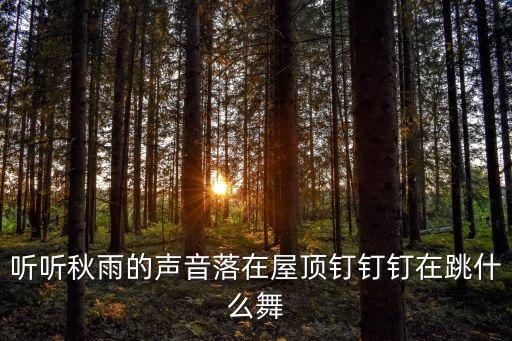 听听秋雨的声音落在屋顶钉钉钉在跳什么舞