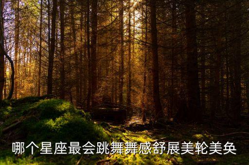 我的推荐未来的舞蹈家