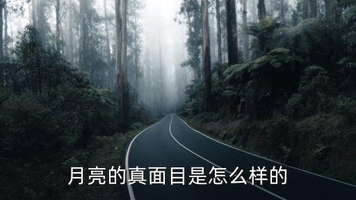 月亮的真面目是怎么样的