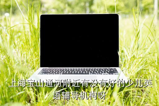 上海宝山通河附近有没有好的少儿英语辅导机构呀