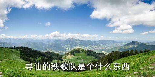 寻仙的秧歌队是个什么东西