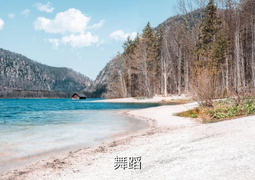 董炎舞蹈