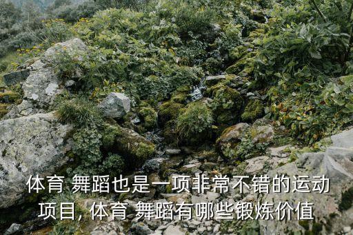 体育舞蹈竞赛的特点和