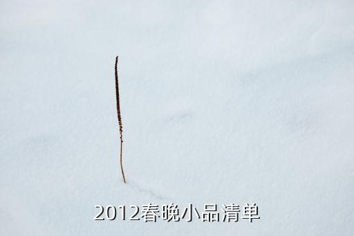 2012春晚小品清单