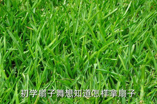 初学扇子舞想知道怎样拿扇子