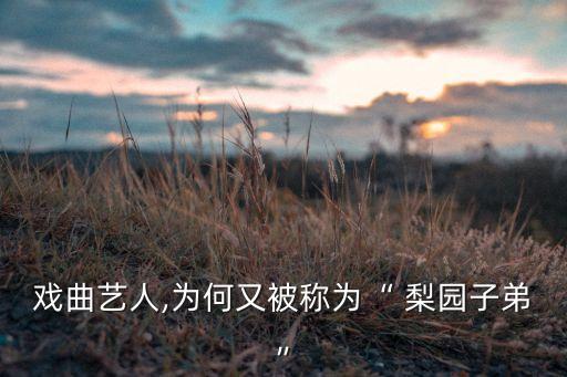 梨园小花舞蹈,红红的小花鞋舞蹈
