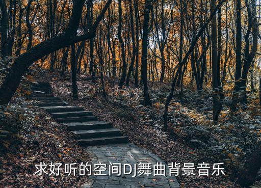 求好听的空间DJ舞曲背景音乐