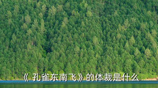 《 孔雀东南飞》的体裁是什么