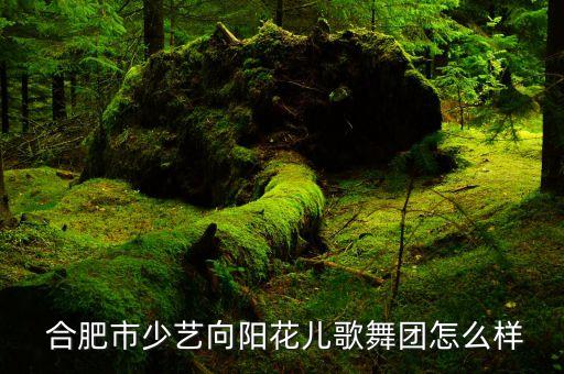 合肥有哪些舞蹈机构,合肥哪些高中招舞蹈特长生