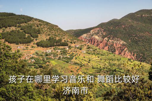 孩子在哪里学习音乐和 舞蹈比较好 济南市