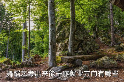  舞蹈艺考出来能干嘛就业方向有哪些