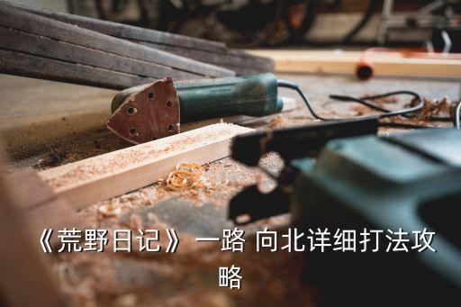 《荒野日记》 一路 向北详细打法攻略