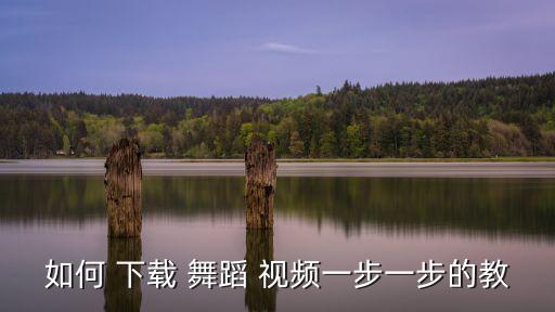 如何 下载 舞蹈 视频一步一步的教
